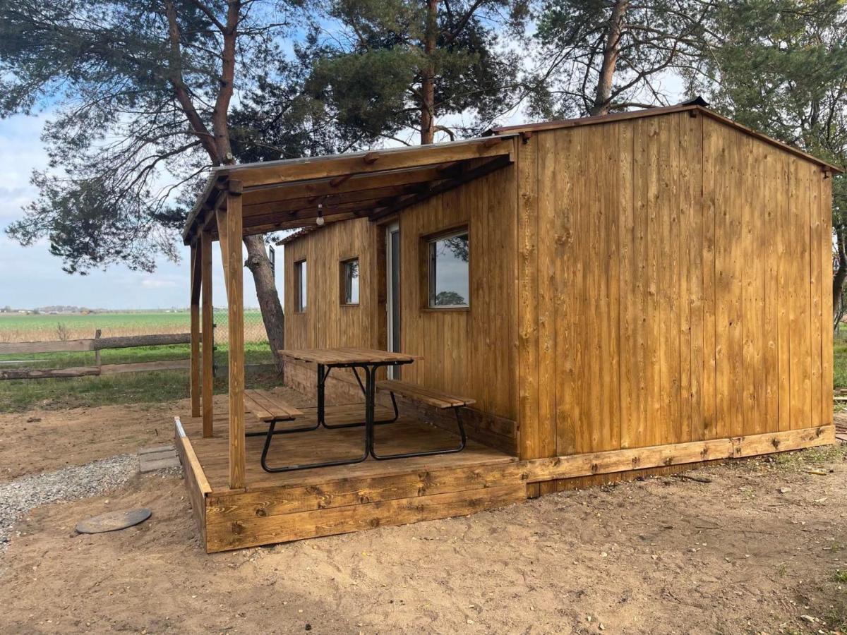 Pronajem Dreveneho Mobilheimu Stit Apartment Хлумец над Сидлиноу Екстериор снимка
